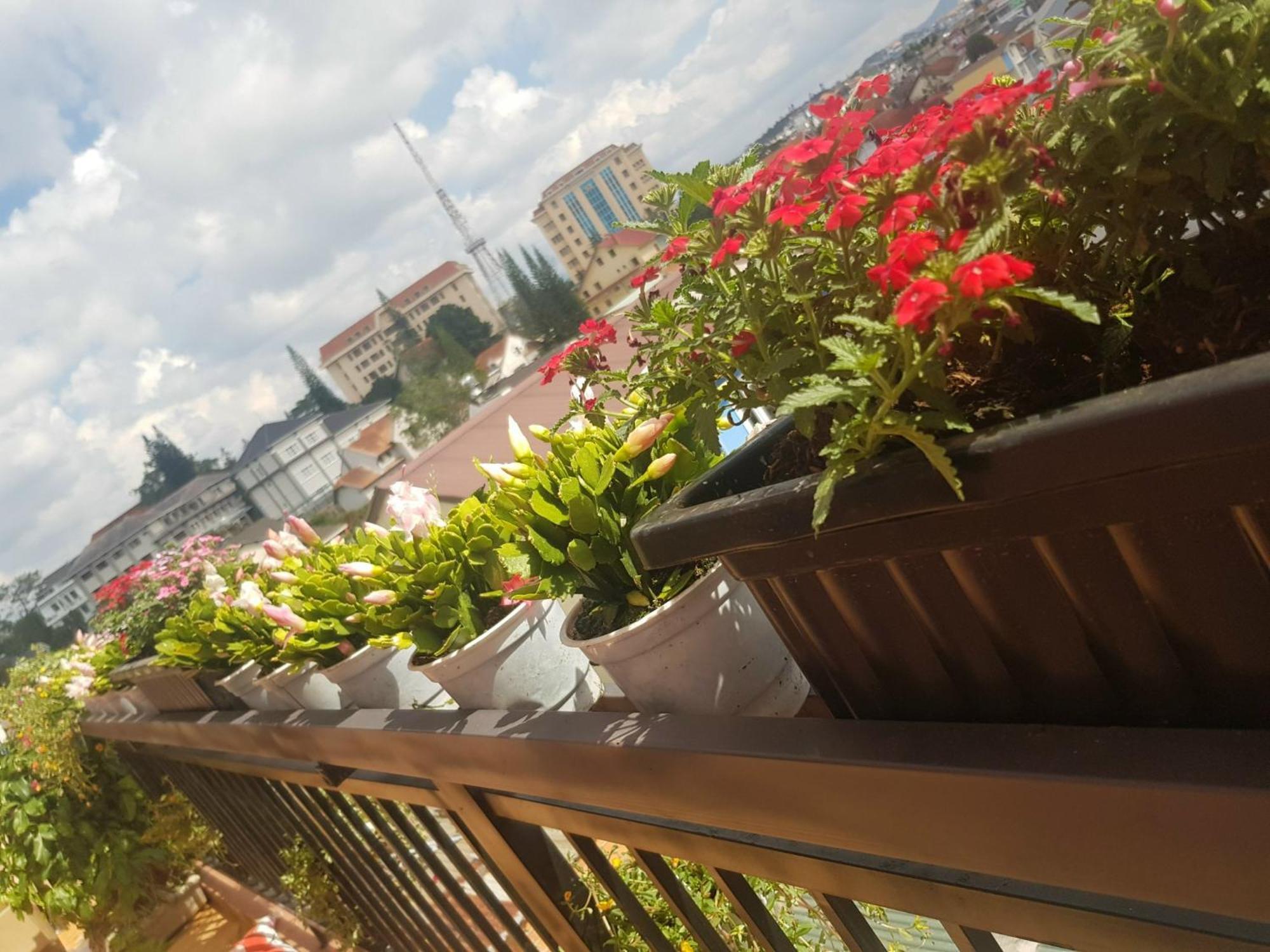 Ngoc Tran Hotel Далат Экстерьер фото